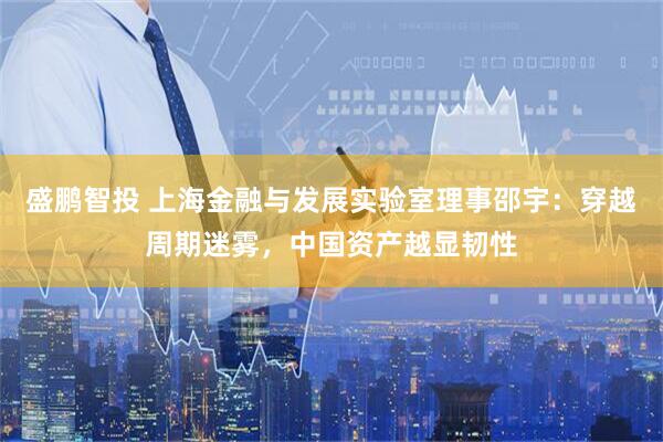 盛鹏智投 上海金融与发展实验室理事邵宇：穿越周期迷雾，中国资产越显韧性